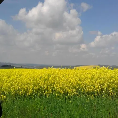 Comfortable In Saxony With Terrace * Oederan