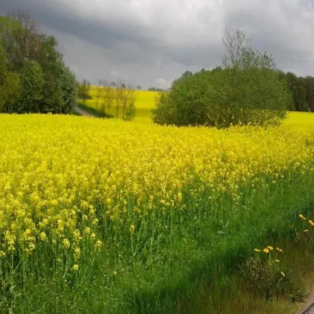 Comfortable In Saxony With Terrace
