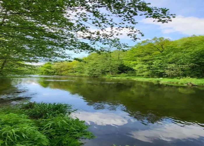 Comfortable In Saxony With Terrace Дом отдыха *