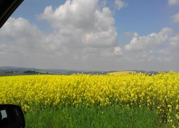 Comfortable In Saxony With Terrace * Oederan