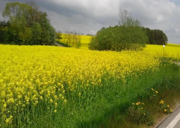 Comfortable In Saxony With Terrace