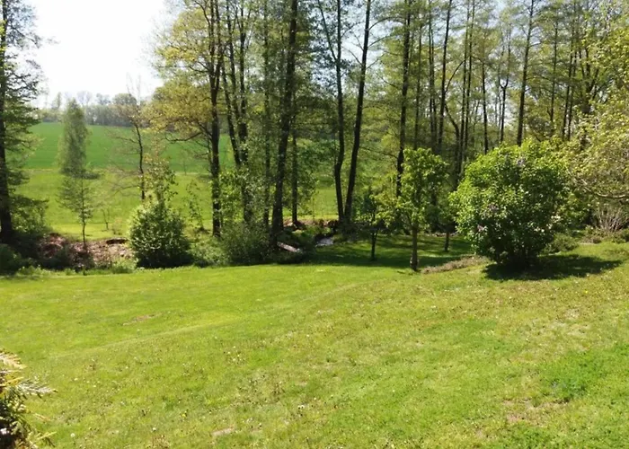 Comfortable In Saxony With Terrace